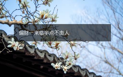 偏财一来临半点不由人