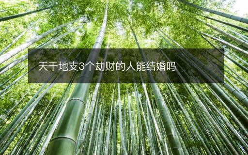 天干地支3个劫财的人能结婚吗