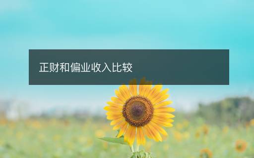 正财和偏业收入比较