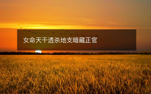 女命天干透杀地支暗藏正官 女命天干透杀地支暗藏正官