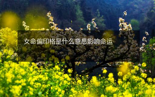 女命偏印格是什么意思影响命运 女命偏印格是什么意思影响命运