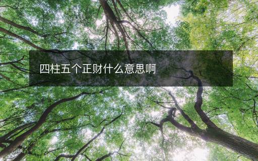 四柱五个正财什么意思啊