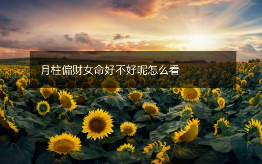 月柱偏财女命好不好呢怎么看 月柱偏财女命好不好呢怎么看