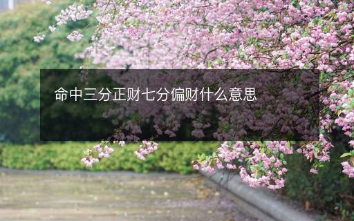 命中三分正财七分偏财什么意思