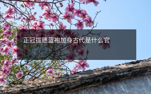 正冠拨穗蓝袍加身古代是什么官
