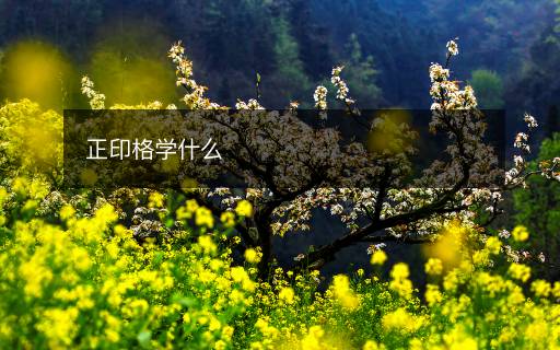 正印格学什么