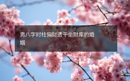 男八字时柱偏财透干坐财库的婚姻