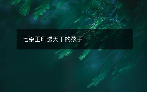 七杀正印透天干的孩子