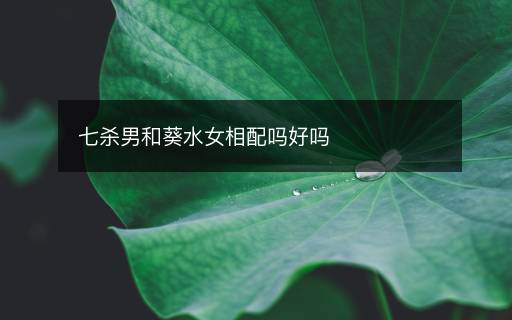 七杀男和葵水女相配吗好吗