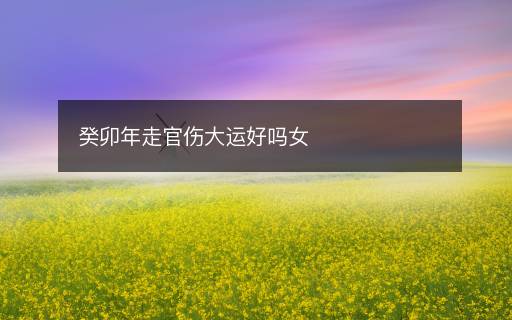 癸卯年走官伤大运好吗女 癸卯年走官伤大运好吗女