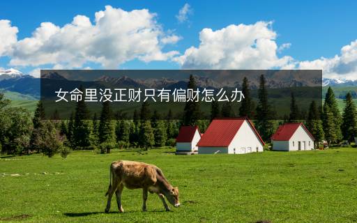 女命里没正财只有偏财怎么办