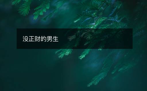 没正财的男生