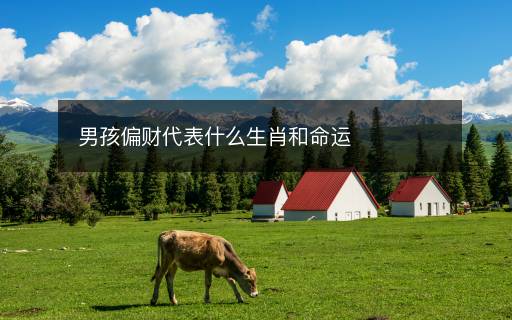 男孩偏财代表什么生肖和命运