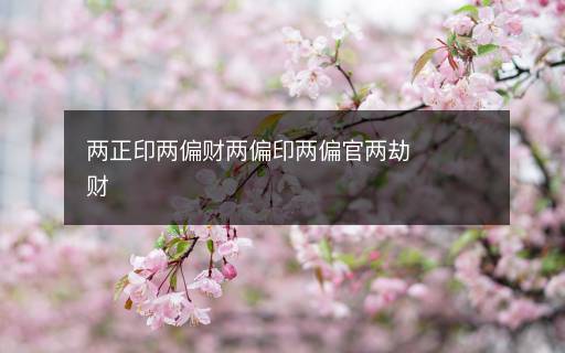 两正印两偏财两偏印两偏官两劫财