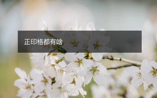 正印格都有啥