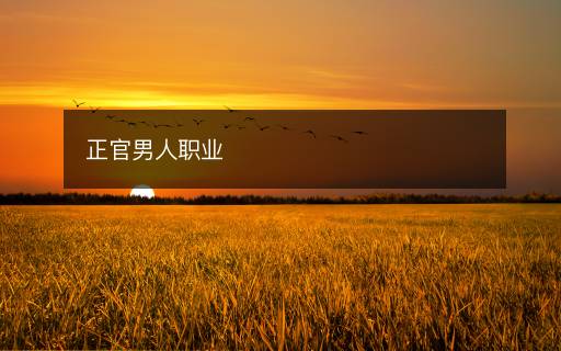 正官男人职业