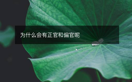 为什么会有正官和偏官呢