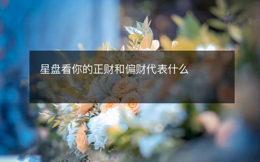 星盘看你的正财和偏财代表什么
