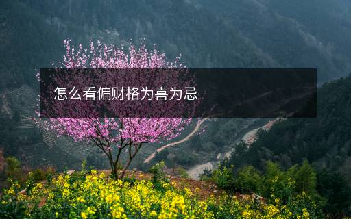 怎么看偏财格为喜为忌
