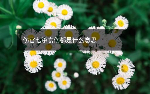 伤官七杀食伤都是什么意思