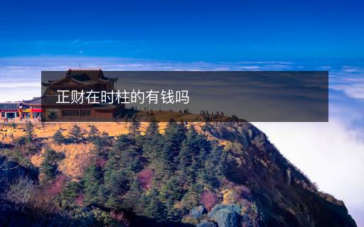 正财在时柱的有钱吗