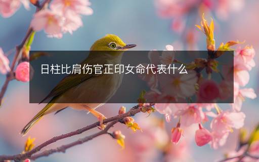 日柱比肩伤官正印女命代表什么