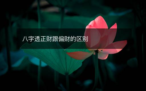 八字透正财跟偏财的区别