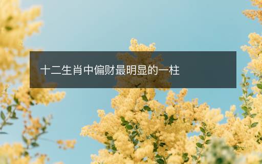十二生肖中偏财最明显的一柱