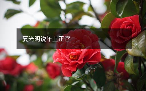 夏光明说年上正官