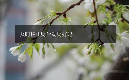 女时柱正财坐劫财好吗