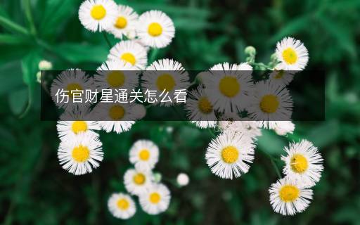 伤官财星通关怎么看