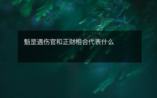 魁罡遇伤官和正财相合代表什么