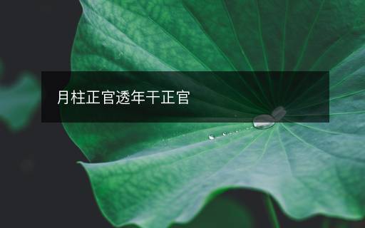 月柱正官透年干正官