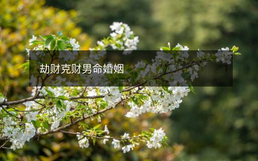 劫财克财男命婚姻