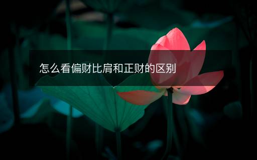 怎么看偏财比肩和正财的区别