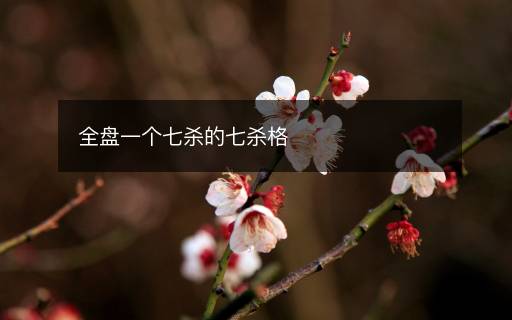 全盘一个七杀的七杀格