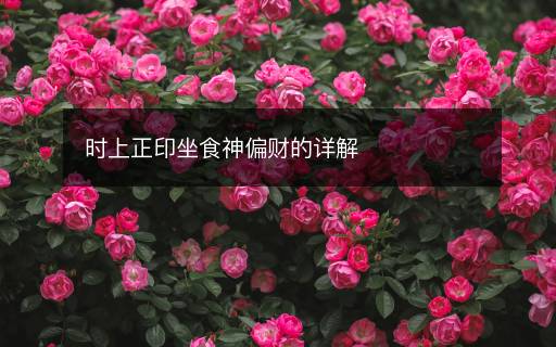 时上正印坐食神偏财的详解