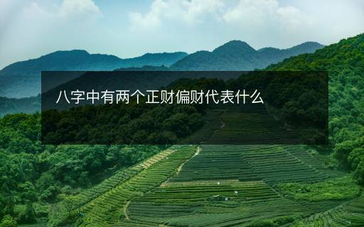 八字中有两个正财偏财代表什么 八字中有两个正财偏财代表什么