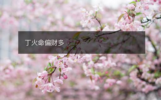 丁火命偏财多
