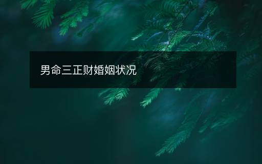 男命三正财婚姻状况 男命三正财婚姻状况