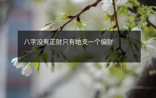 八字没有正财只有地支一个偏财