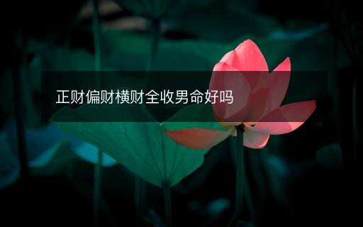 正财偏财横财全收男命好吗