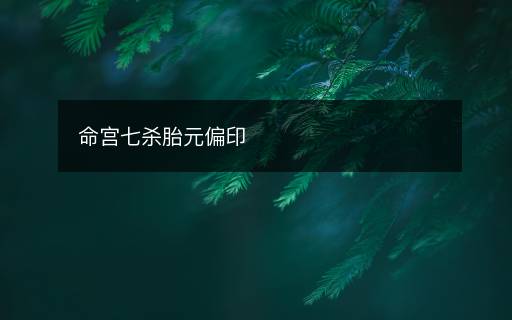 命宫七杀胎元偏印 命宫七杀胎元偏印