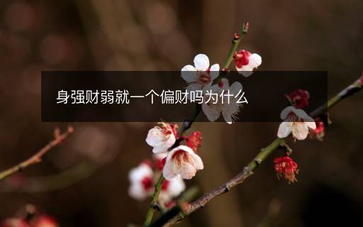 身强财弱就一个偏财吗为什么