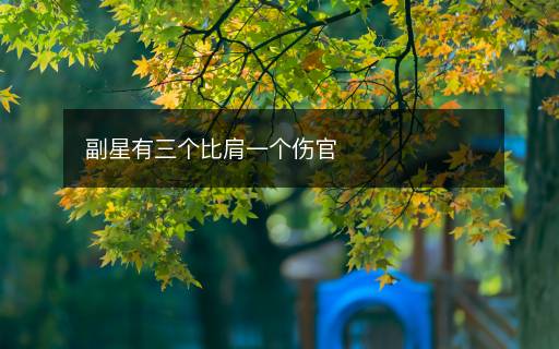 副星有三个比肩一个伤官