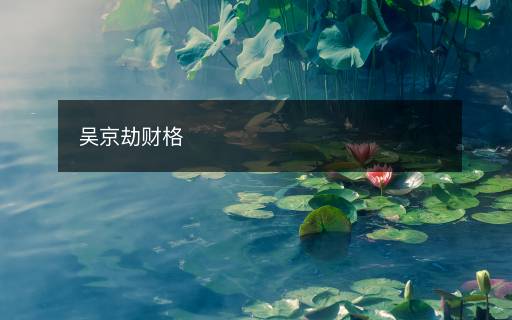 吴京劫财格
