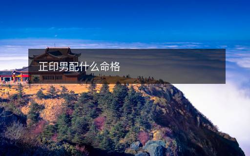 正印男配什么命格