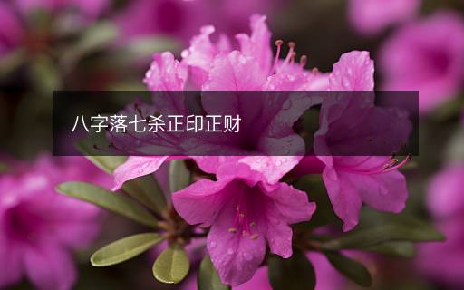 八字落七杀正印正财