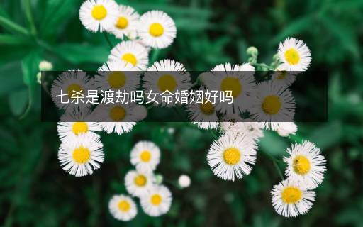 七杀是渡劫吗女命婚姻好吗