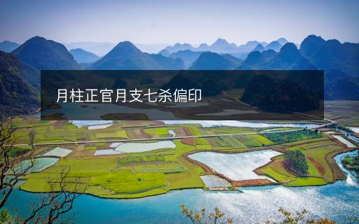 月柱正官月支七杀偏印